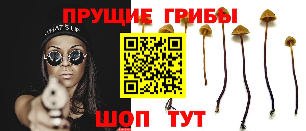 Саяногорск  закладки  Вход с VPN  Псилоцибиновые грибы Psilocybine cubensis  Галлюциногенные грибы ЛСД 